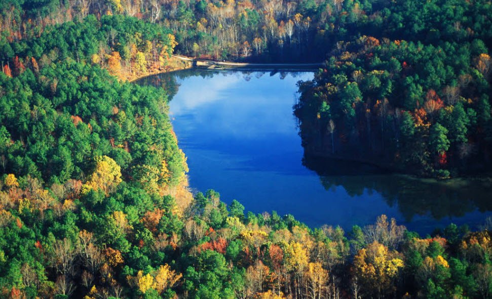 William B. Umstead State Park, North Carolina, USA